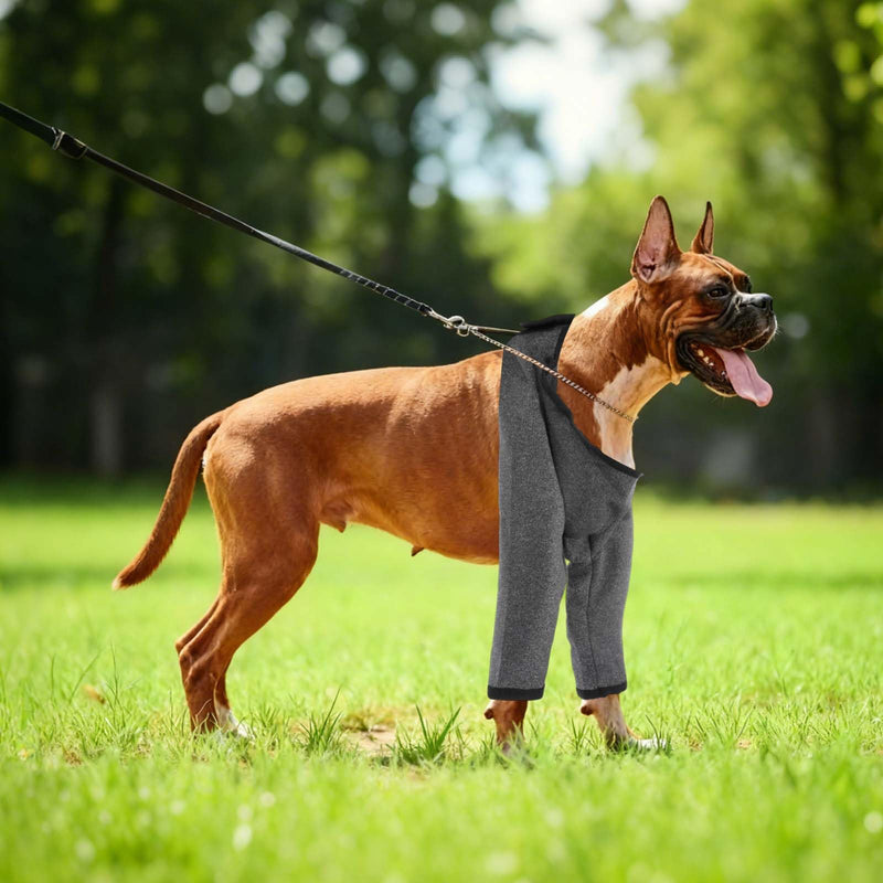Dog Leg Sleeves, Dog Recovery Suit for Front Legs Pet Sleeves Elbow Protector Brace (XXL, Dark Gray, Polyester), for Knee Recovery Prevent Scratching XXL