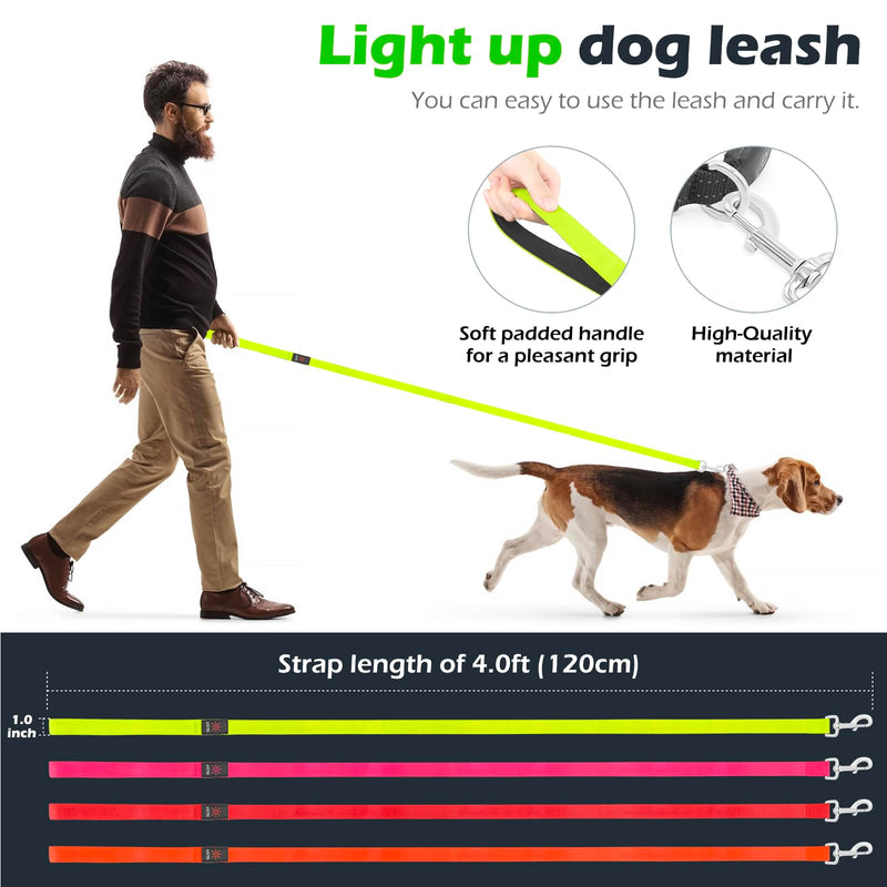 LED Dog Leash Light Up 4 Feet Micro USB Rechargeable Nylon Webbing Glow Safety Standard by Bpawser (Green) Green - PawsPlanet Australia