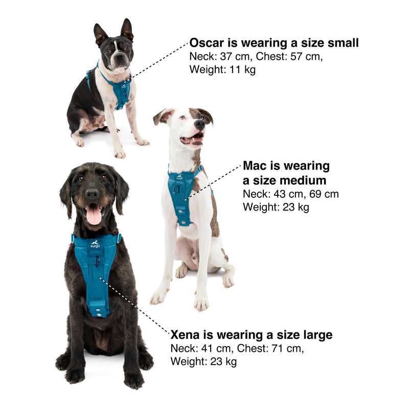 Kurgo Enhanced Strength Tru-Fit Dog Car Harness - Pet Travel Safety Harness - Crash Test Certified Fit - Five Point Adjustment - Secure Buckle - Padded Chest - Ink Blue - Small