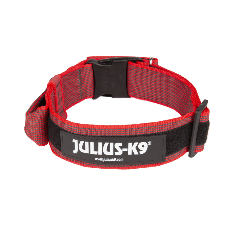 Julius-K9 Color and Gray Collar with Handle and Interchangeable Patch, 50 mm (49-70 cm), Red-Gray - PawsPlanet Australia