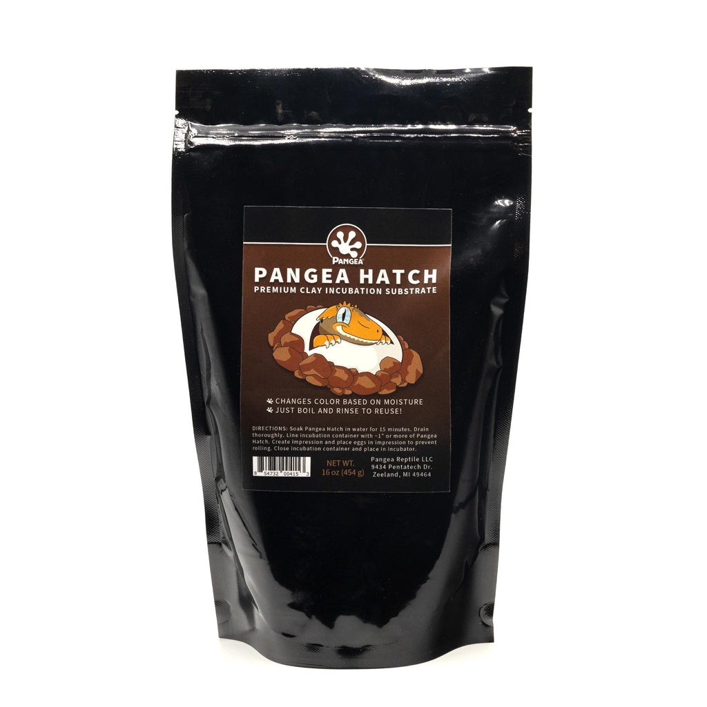 Pangea Hatch Premium Reptile Egg Incubation Substrate (1 lb) (Package May Vary) 1 Pound (Pack of 1)