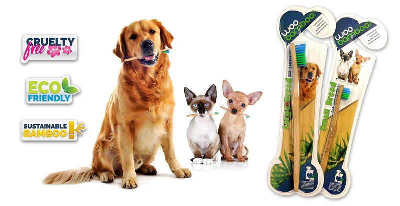 Woobamboo! Eco-Friendly Large Breed Dog Bamboo Toothbrush, Biodegradable, Plastic Negative (Pack of 2) - PawsPlanet Australia
