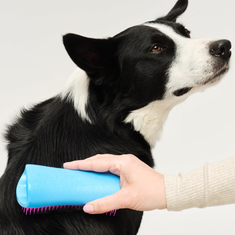 Pet Teezer De-Shedding Dog Brush by Tangle Teezer, Dog Grooming Tool for Long Haired Breeds and Wet or Dry Fur, Large, Blue & Pink Large De-shedding - PawsPlanet Australia