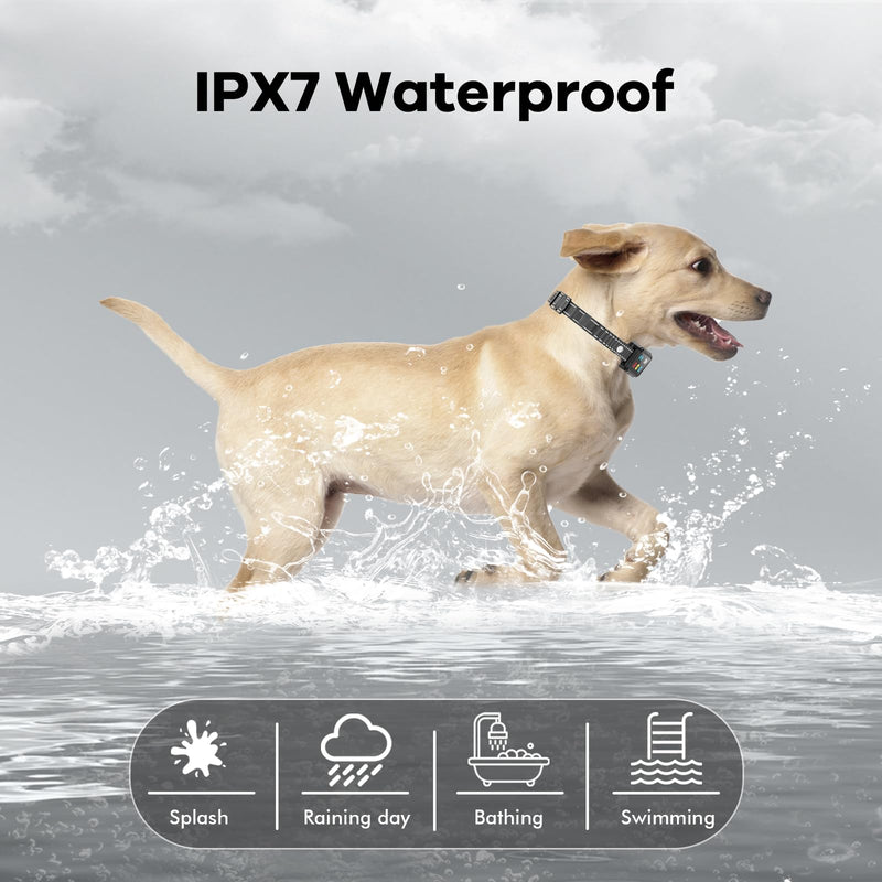 AI Dog Shock Collar 2 Dogs (10-120Lbs) - 3300FT Dog Training Collar with Remote, IPX7 Waterproof Collar with Beep, Vibration, Safe Shock for Large Medium Small Dogs, Keypad Lock and Flashing Light Black - PawsPlanet Australia