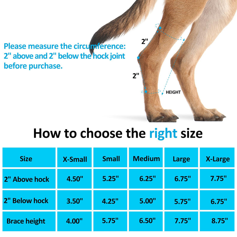 Dog Leg Braces for Back Legs,ACL Brace for Large Dogs Rear Legs, Joint Compression Warps Support for Hind Leg with Injury Sprain, Wound Care and Loss of Stability from Arthritis (1 Pair) Large（1Pair） - PawsPlanet Australia