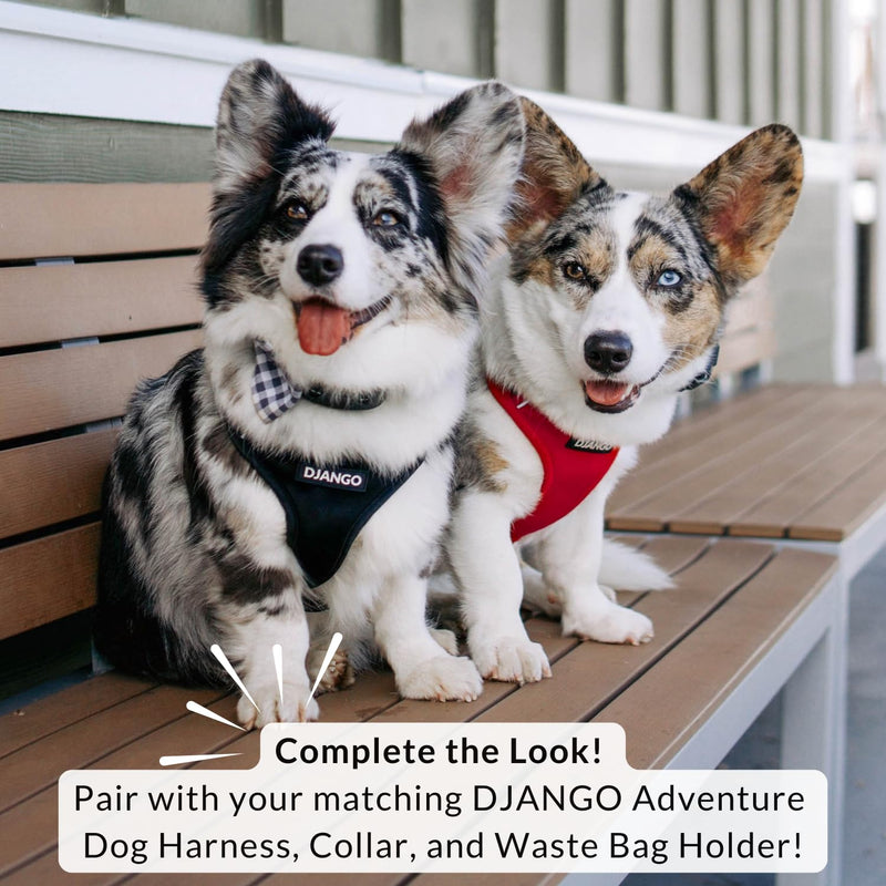 DJANGO Cotton Rope Dog Leash 5ft – Handcrafted Dog Leash and Red Braided Leash for Small, Medium, and Large Dogs – Durable 5 Foot Training Lead with Gold Hardware – Crimson Red - PawsPlanet Australia
