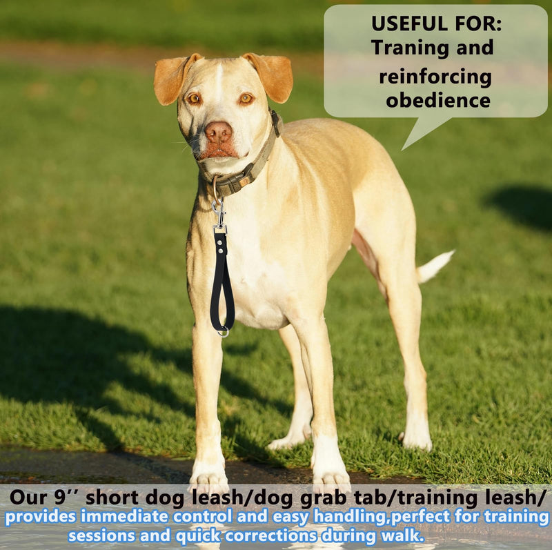 Short Dog Leash - 9 Inch Dog Leash Heavy Duty Traffic Leash for Dogs Short Leash for Dog Training Control, Waterproof PVC Dog Training Leashes Dog Grab Tab Dog Short Leash (Black, 9'') 9'' Black - PawsPlanet Australia