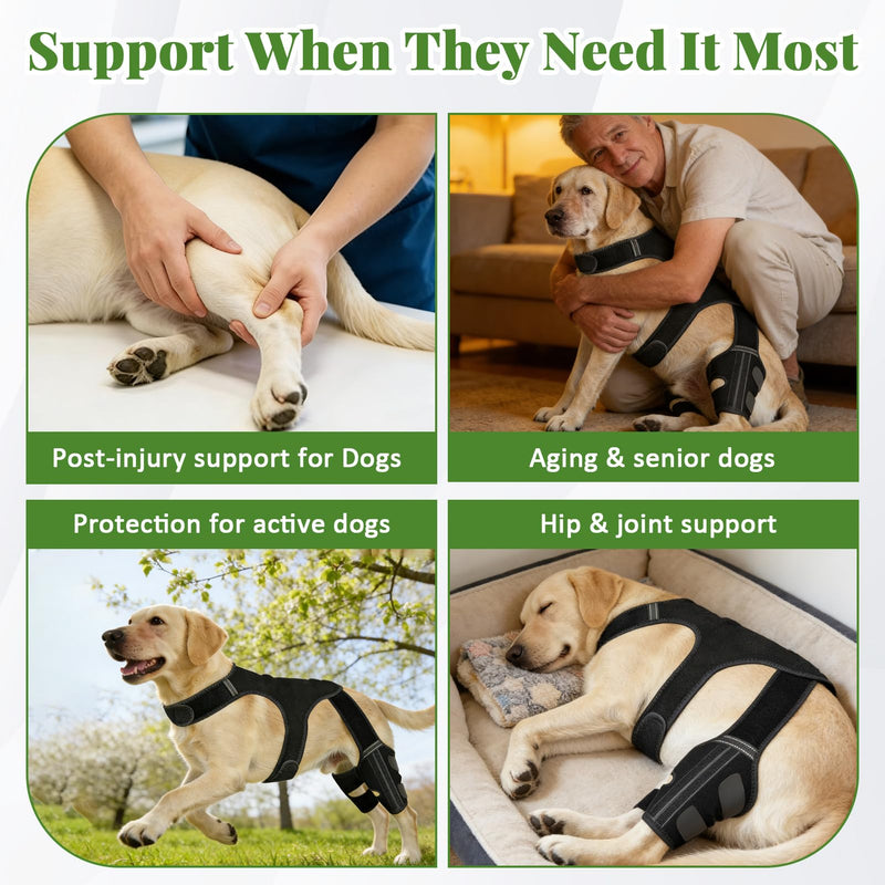 Dog Knee Braces for Back Leg, Dog Leg Brace with Vest for Small Medium Large Dogs Knee Support for Dogs ACL/CCL Care Ideal for Dog Back Legs (S)