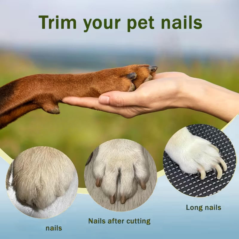 Blue Dog Nail File Scratch Board,3-in-1 Rotatable Pet Scratch Pad for Indoor Dogs,Dog Nail File & Scratch Board for Nails,Interactive Slow Feeder & Grooming To/y for Small Medium Large Dogs 2 - PawsPlanet Australia