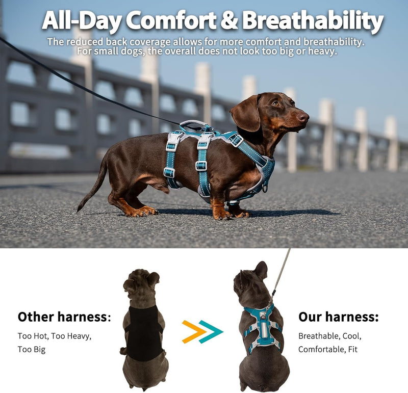 Huntboo Escape Proof Dog Harness, Secure Dog Harness No Escape, Fully Reflective Harnesses with Handle, Breathable, Durable, Adjustable Vest for Small Dogs Walking, Training & Running Gear(Teal,XS) X-Small(Pack of 1) Blue - PawsPlanet Australia