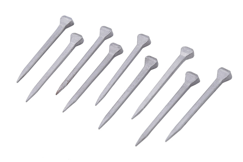 2 inch Horseshoe Nails Box of 100 - PawsPlanet Australia