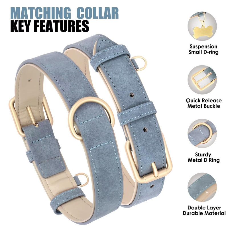 Beirui Soft Padded PU Leather Dog Collar and Leash Set, Durable Dog Leash and Collar Set with Metal Buckle, Breathable Pet Collars with 4FT Leash for Large Dogs(Blue, Neck 16-21") XL:Fit Neck 16-21"(48-75lbs) Blue - PawsPlanet Australia