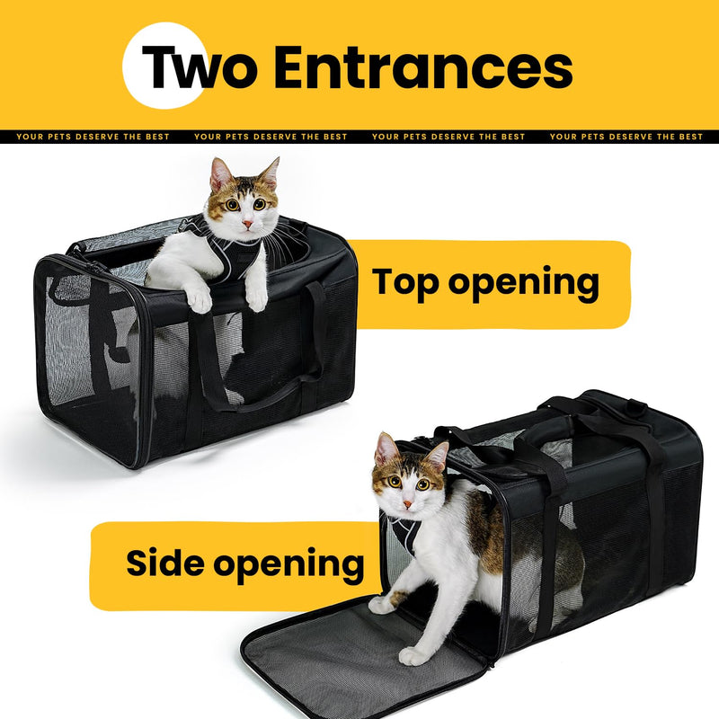 Cat Carrier Bag,Soft-Sided Pet Carriers for Dogs with 4-Sided Mesh,Airline Approved Cat Transport Carrier for Small&Medium Cats Kitten Puppy Up to 15Lb,Collapsible Cat Travel Carrier-M,Black M Black - PawsPlanet Australia