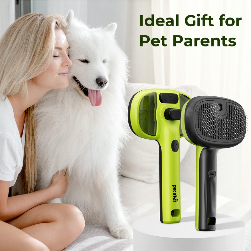 Pecute Cat Steam Brush, Self-Cleaning Steam Cat Brush with 2 Water Spray Modes, Large Capacity Tank, Steaming Renu Dog Brush for Shedding Massaging Grooming, Cool Mist Only Cool Mist-Green