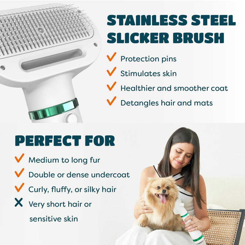 KUUBIA Pet Hair Dryer for Small and Medium-Sized Dogs and Cats | 2-in-1 Dog Hair Dryer with Self Cleaning Slicker Brush | Dog Blow Dryer | 300 Watts, Portable, Adjustable Temperature