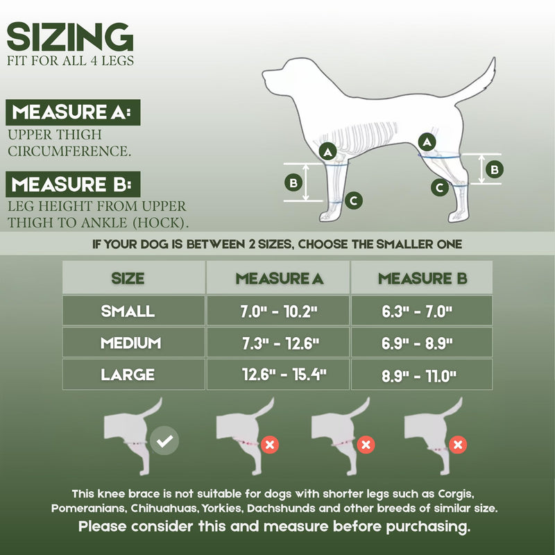 Adjustable Dog Knee Brace for Torn ACL and Luxating Patella - Support for Back Leg, Hip Dysplasia, and Post-Surgery Recovery. Optimal Comfort and Stability for Your Beloved Pet Small