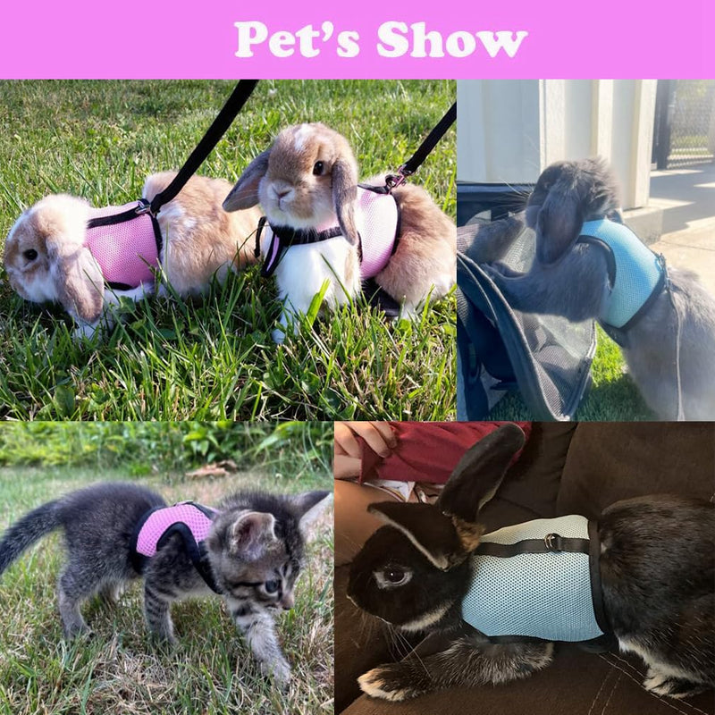 Rabbit Leash and Harness Set Escape Proof, Bunny Vest Hamster Leash Set Mesh Eescape Proof Walking Training for Small Animal Pets Rat Squirrel Ferret Guinea Pig Bunny,Blue L Light Blue L Chest 7.8-11.8",For Adult Rabbits - PawsPlanet Australia