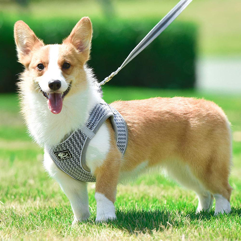 Dog and Cat Universal Harness with Leash - Cat Harness Escape Proof - Adjustable Reflective Step in Dog Harness for Small Dogs Medium Dogs - Soft Mesh Comfort Fit No Pull No Choke (XS, Grey) XS - PawsPlanet Australia