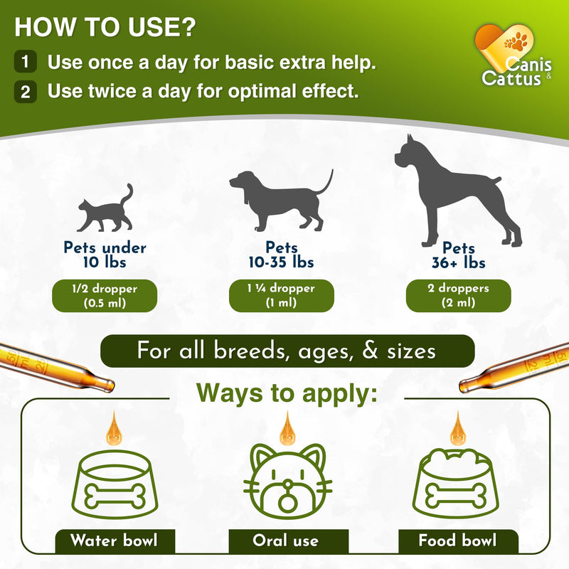 Antibiotics for Dogs | Cat Antibiotic | Pet Antibiotic | Natural Antibiotics for Cats | Dog Antibiotic | Natural Antibiotic for Dogs | Antibiotic for Cats | 2 Oz 1 Pack x 2 Oz - PawsPlanet Australia