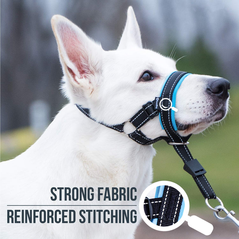 GoodBoy Dog Head Halter with Safety Strap - Stops Heavy Pulling On The Leash - Padded Headcollar for Small Medium and Large Dog Sizes - Head Collar Training Guide Included (Size 3, Blue) Size 3 (Pack of 1) Black Nylon / Blue Padding