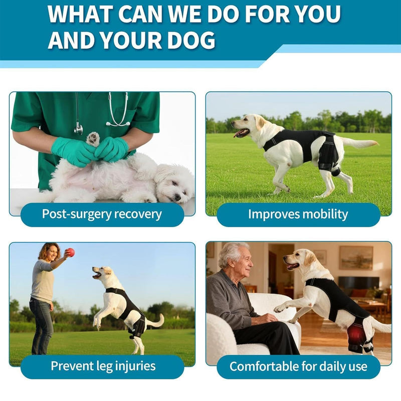 Dog Hip Bandage - Adjustable Knee Bandage with 4 Metal Stabilisers for Supporting the Hind Legs - for Hiking, Training, Outdoor Activities, Park, Travel, at Home black L