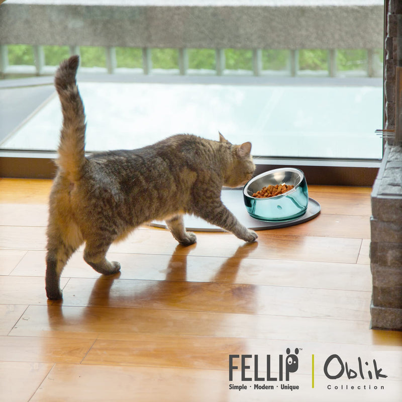 Felli Pet Oblik Anti Whisker Fatigue Cat Bowl Raised Stainless Steel Angled Wide Shallow Dish for Dry Wet Food, Vomit & Spill Proof Tilted Elevated Feeder Acrylic Base (0.5Cup, Classic) 0.5 Cups Shallow Dish