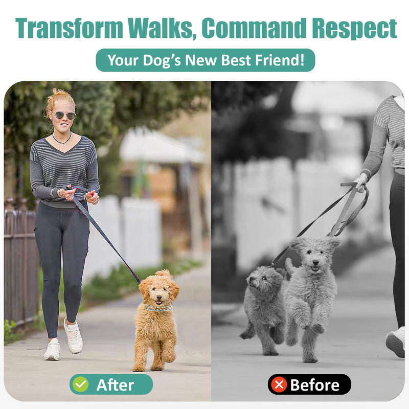 Training Collar for Small Dogs - 2.5mm Adjustable No-Pull Guidance Pet Stainless Steel Collar with Quick Release Buckle. Kit Includes 3.9ft Leash + Links + 8 Comfort Tips (Fits 11-15in Neck) - PawsPlanet Australia