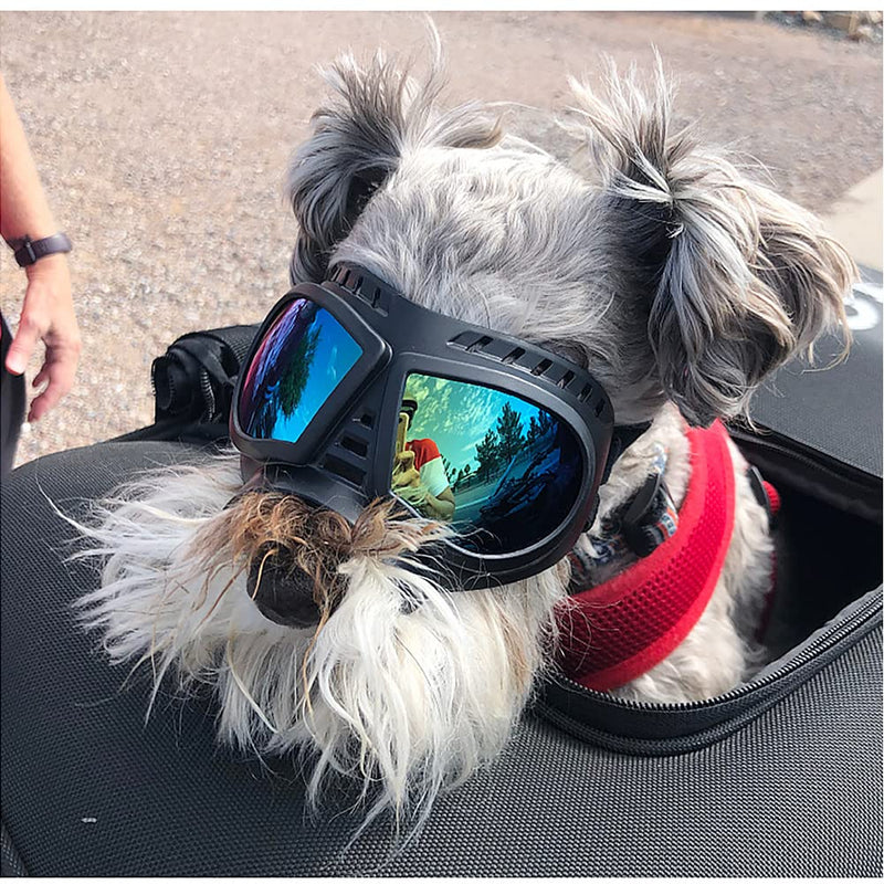 Dog Goggles,UV Protection Wind Protection Dust Protection Snow Protection Fog Protection Soft Frame Glasses for Long Snout Dogs Eyes Protection with Adjustable Strap (S: Blue Lens) S: Blue lens - PawsPlanet Australia