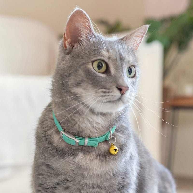 CollarDirect Leather Cat Collar with Bell - Kitten Collar, Small and Big Cat Collar for Boy Cats, Girl Cats with Safety Elastic Strap (Neck Fit 8"-11", Mint Green) 8-11 Inch (New)