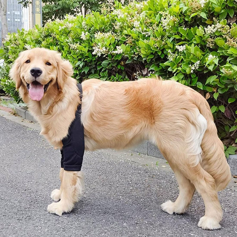 Dog Leg Protector Elbow Brace Dog Prevents Licking Wounds Helps with Arthritis (XL for Medium and Large Dogs) Xl
