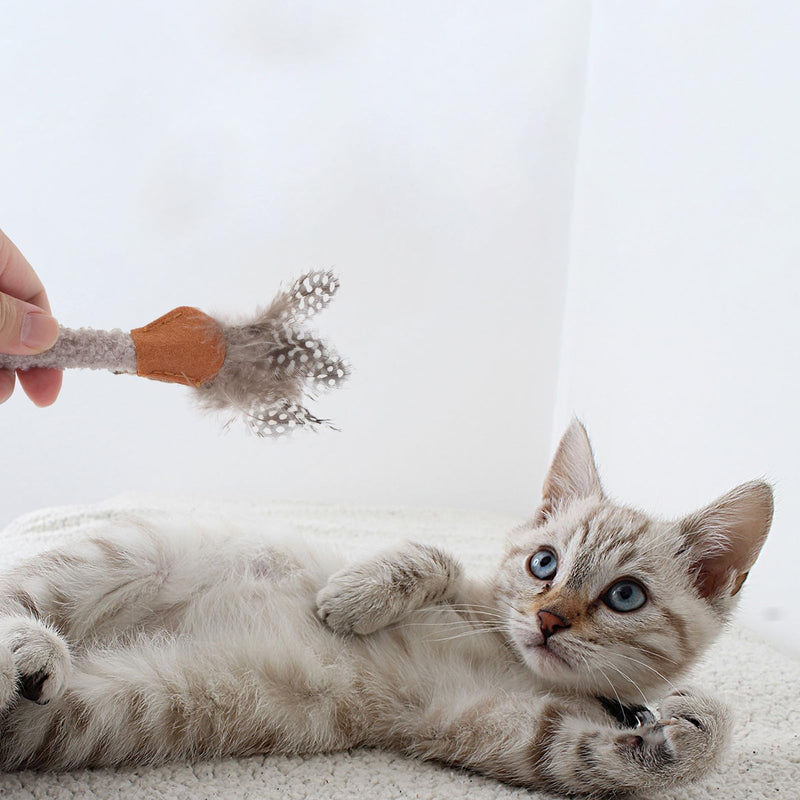 Natural cat chews made of plush and wood, 5 pieces, for mouth cleaning and dental care for small to medium-sized cats