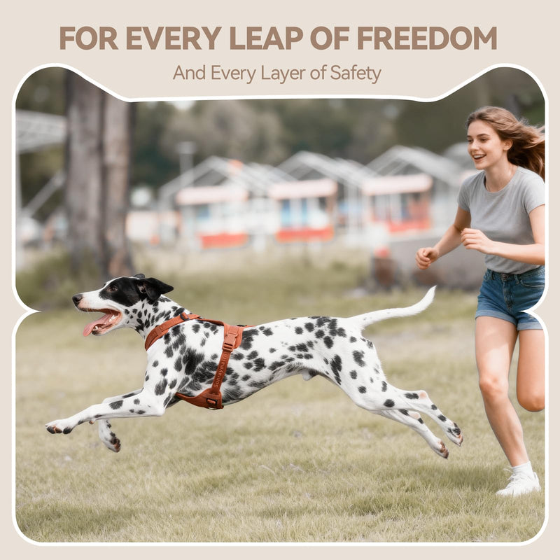 No Pull Dog Harness with Lycra, Three-Point Force Dispersion & 3D Padding, Adjustable Breathable Mesh for Small Medium Large Dogs(Carmel Brown,XS) XS(Neck:10.0-16.0,Chest:14.0-20.0) Carmel Brown - PawsPlanet Australia