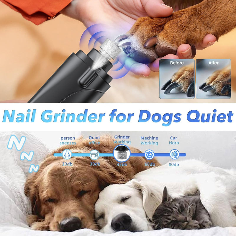 2 in 1 Dog Nail Clippers and Grinder with Lights & Cat Nail Clipper for Large Medium Small Dogs Cats Nail Trimmers USB Rechargeable with 2 LED Lights Dog Claw Care for Non-Black Nails 6th Generation Black - PawsPlanet Australia