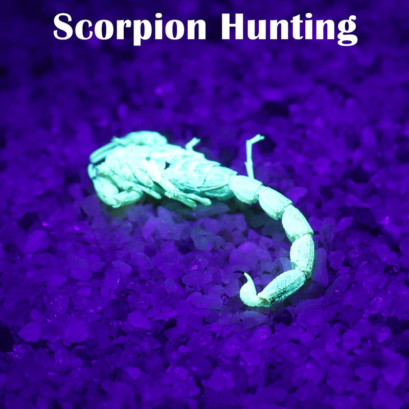S5 UV Flashlight, Black Light Flashlight with 5 LEDs, for UV Resin Curing, Rockhounding, Pet Urine Detecting, Scorpion Hunting (385NM) 385NM - PawsPlanet Australia