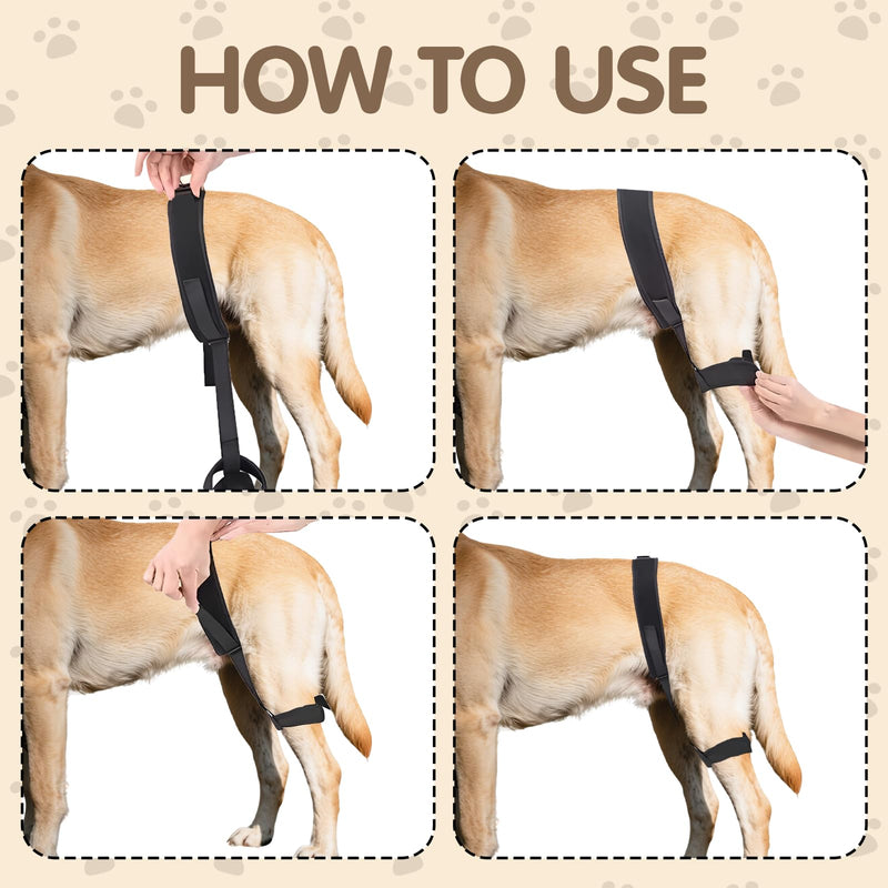 Dog Hip Orthotics Brace, Dog Hip Dysplasia Brace, Support for Hip Dysplasia, Arthritis, Luxating Patella, Back Leg limping, Relieve Hip Pain and Orthodontic Assistance - Large L