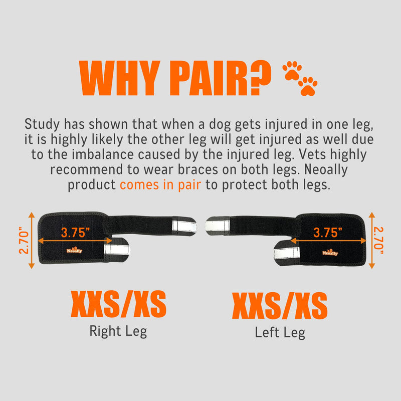 NeoAlly - 3-in-1 Dog Splint Front Leg Support, Front Leg Brace with Rigid and Spring Inserts, Dog Leg Sleeve for Pet Mobility, Stability, & Protection, With Reflective Straps, XXS-XS, 1 Pair XXS/XS