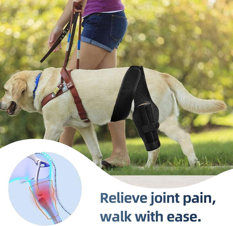 Dog Knee Brace, Dog ACLBrace Hind Leg, Dog Leg Braces for Back Leg, ACL Brace for Dogs, Dog Hip Brace, Dog Knee Brace for Torn ACL Hind Leg. Labrador, Golden Retriever (Large) Large - PawsPlanet Australia
