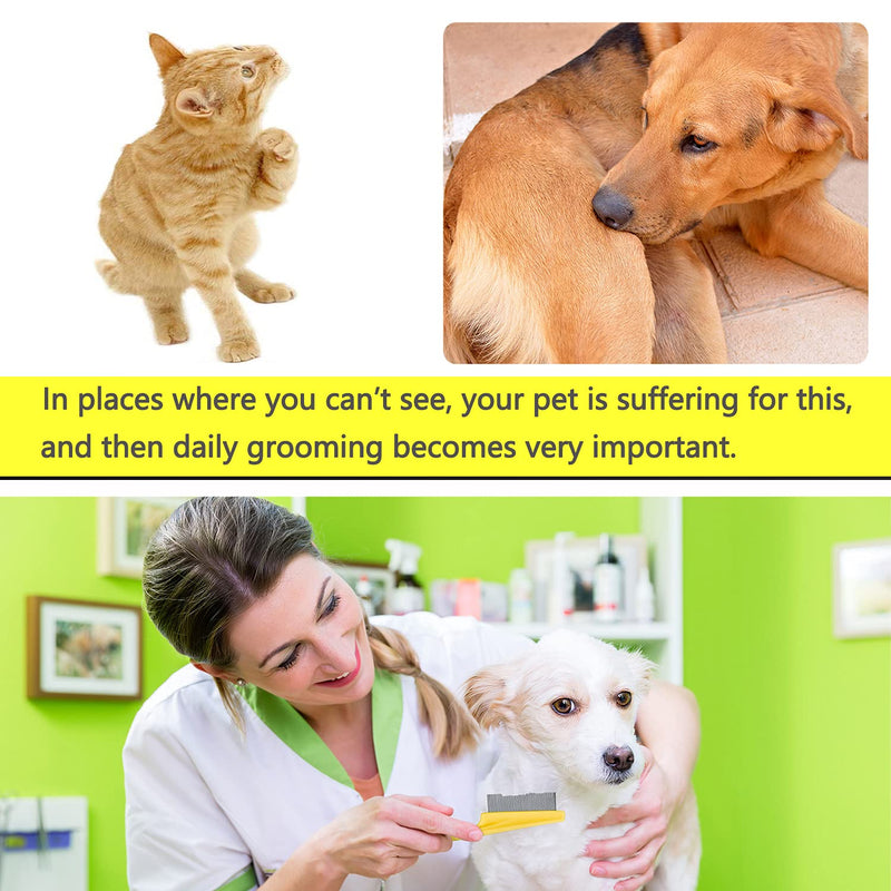 Cat & Dog Comb Set - Fine Tooth Grooming Comb for Dandruff & Hair Removal (Yellow) yellow - PawsPlanet Australia