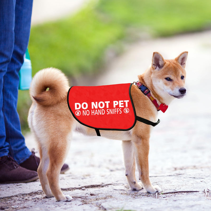 JXGZSO Nervous Anxious Dog Slogan Warning Vest Do Not Pet No Hand Sniffs Dog Jacket Vest (No hand sniffs L) No hand sniffs L - PawsPlanet Australia