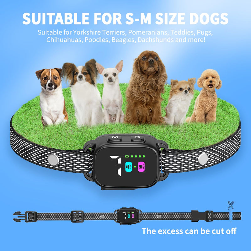 Anti-Bark Collar for Small Dogs, No Shock Anti Barking Collars with 7 Sensitivities, 3 Adjustable Modes Beep & Vibration, IP67 Waterproof - Effective & Humane, Premium Black - PawsPlanet Australia
