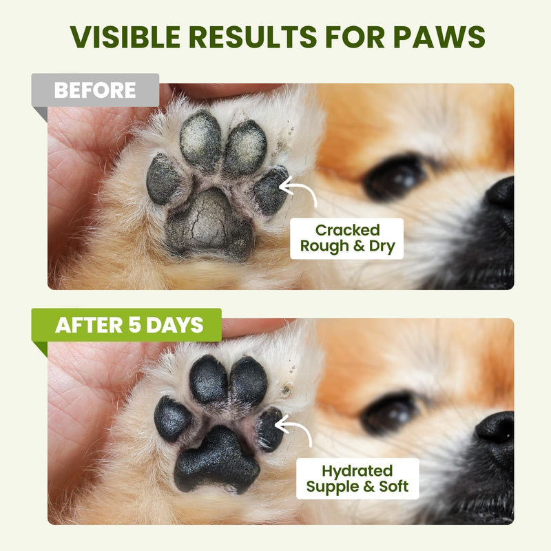 Lick-Safe Dog Paw & Nose Balm with Coconut Oil | All-Natural Moisturizer & Soother for Dry, Cracked Pads & Snout| Cat Wax & Cream, Nose Butter for frenchies| Horse Hoof Care (60 g /2.1 oz) 1 Pack - PawsPlanet Australia