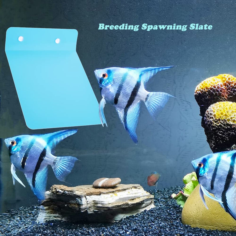 2 Pack Angelfish Discus Breeding Slate, Fish Breeding Spawning Slate Spawning Surface for Aquarium Fish Egg Laying