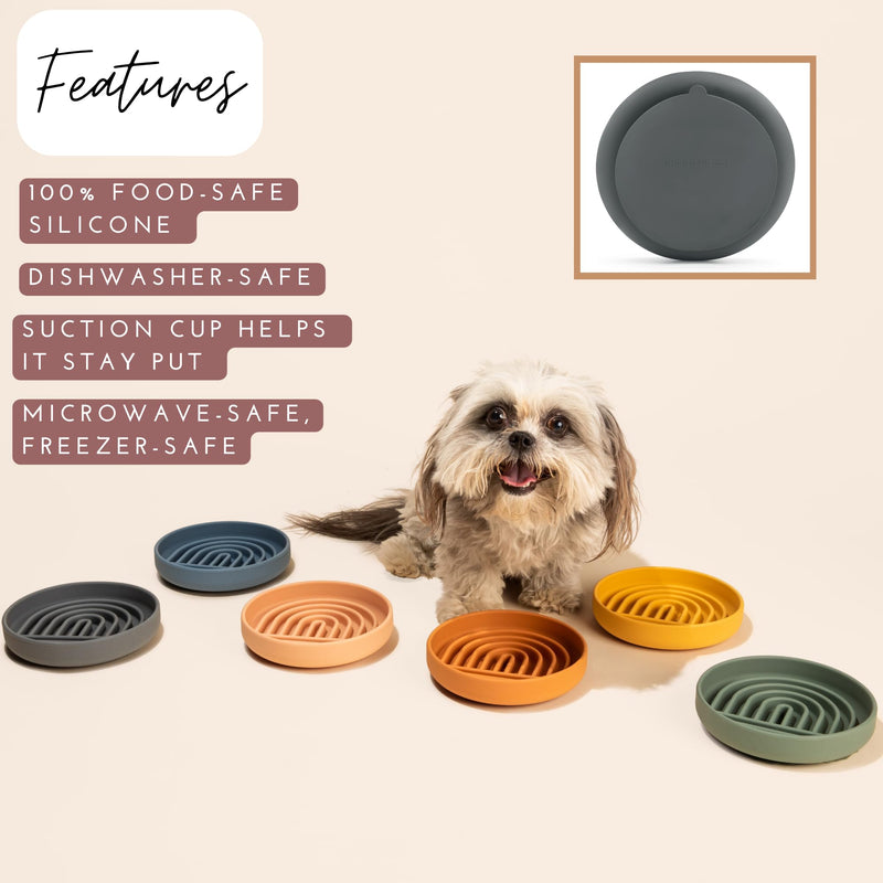 The Slowdown Bowl - Silicone Slow Feeder, Slow Eating, Modern Lick Mat Design, Reduces Gulping, Dishwasher Fit, for All Cat & Dog Breeds, Mealtime Challenge, Small-Spruce Spruce - Rainbow Design - PawsPlanet Australia