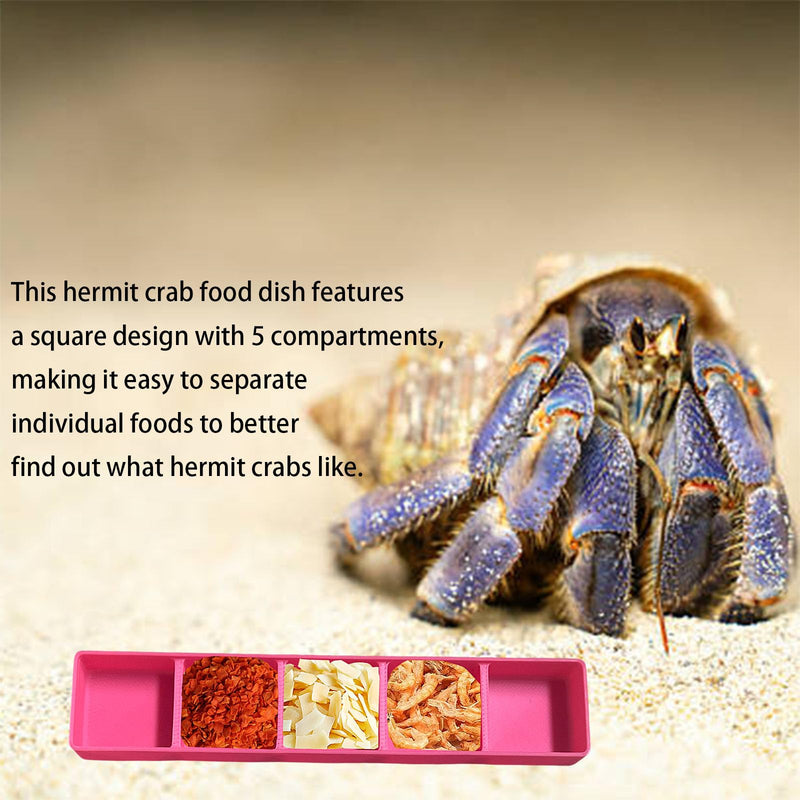 2 PCS Hermit Crab Food Dish, 5 Compartments Rectangle Food & Water Bowl, Hermit Crab Accessories (Pink, Blue) - PawsPlanet Australia