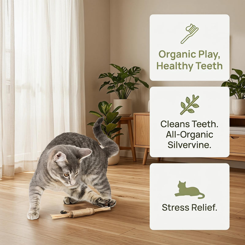 3 pieces of cat toys, chew toys made of silver vine for cats and kittens with teeth cleaning function and more social than natural chew toys.