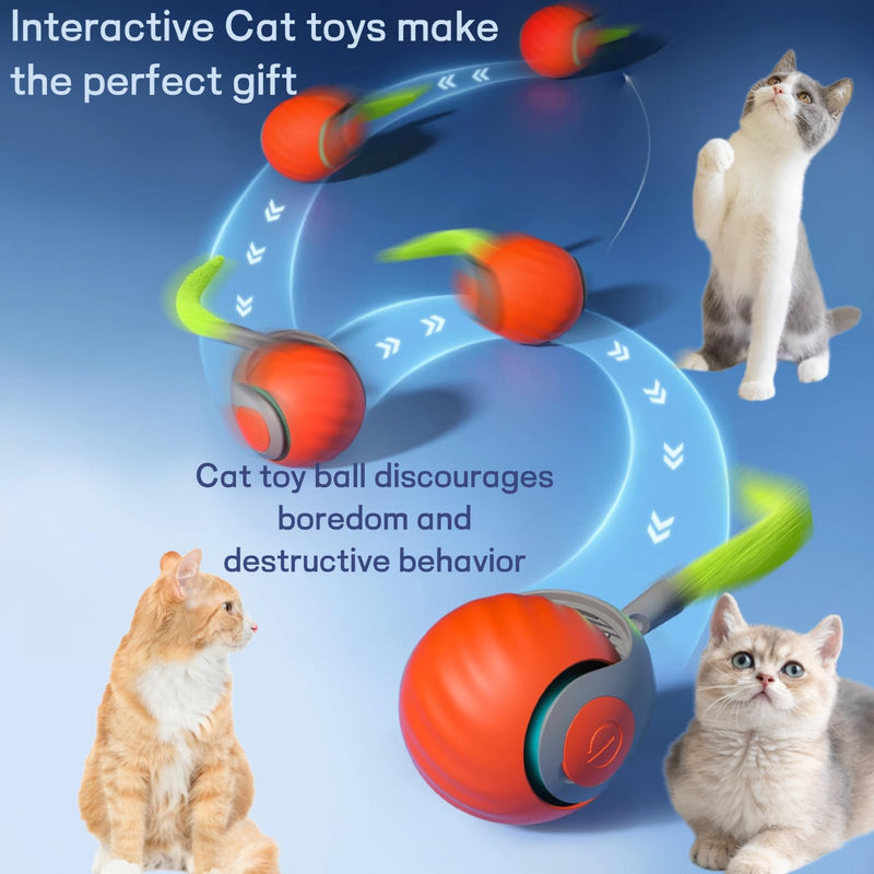 2025 Upgraded Self-Moving Cat Toy Ball with Tail (2-Pack) - Rechargeable Smart Interactive Kitten Toys, 2-Speed Modes, Bite-Resistant Indoor Exercise Toys for Bored Cats (Blue&Orange) - PawsPlanet Australia