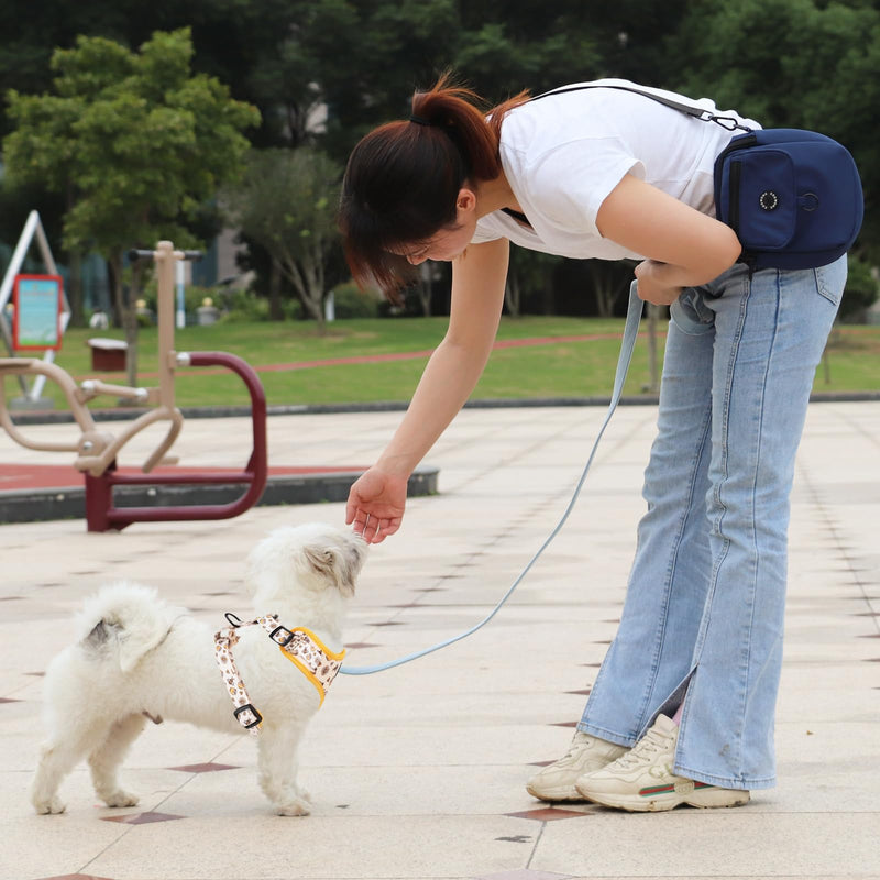 Dog Cat Harness and Leash Set, Puppia Soft Mesh Padded and Adjustable Puppy Vest Cute Dog Clothes Escape Proof Easy Walk Pet Accessories (Honeybee, S (Neck 10.6"-13"; Chest 14"-19.6")) Honeybee S (Neck 10.6"-13"; Chest 14"-19.6") - PawsPlanet Australia