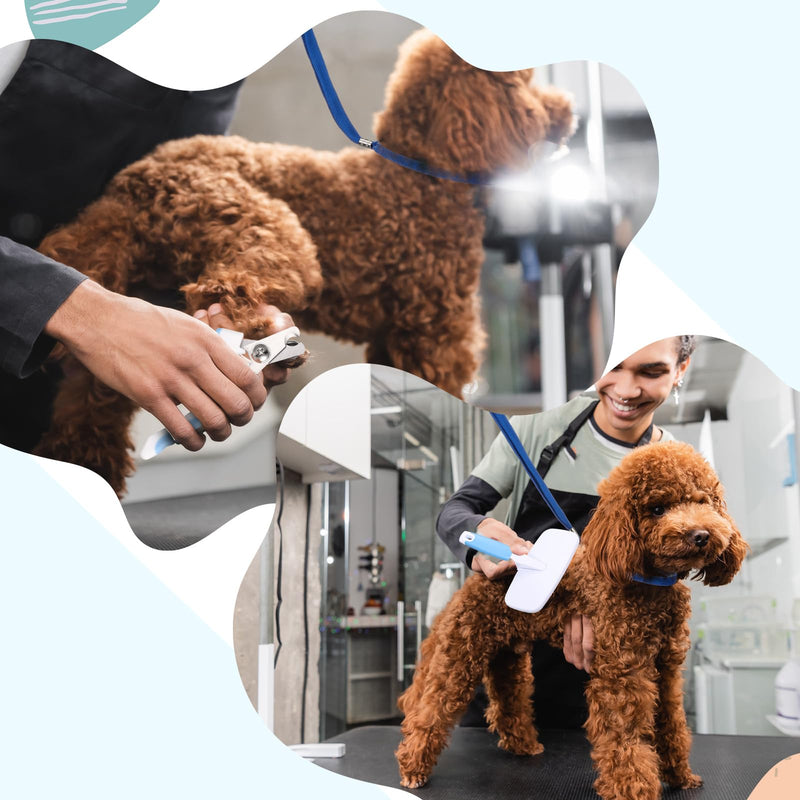 Baderke 6 Pcs Dog Grooming Set with Dog Bathing Leash with Suction Cup, Pin Comb, Straight Comb, Nail Clippers Set, and Bath Brush for Pet Bathing Shower Grooming - PawsPlanet Australia