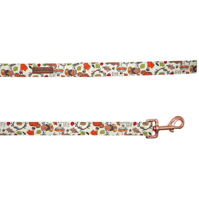 Elegant little tail Dog Leash, Thanksgiving Heavy Duty Durable Strong Dog Leash with Comfortable Handle Multipurpose Leashes for Small Medium Large Dogs Medium (Pack of 1) Pumpkin with Turkey - PawsPlanet Australia