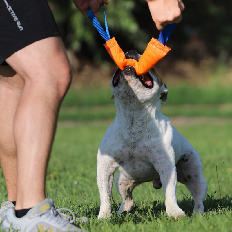 K9 Dog Bite Tug Toy with 2 Strong Handles - Made of Durable & Tear-Resistant Fire Hose - Perfect for Tug of War, Fetch & Puppy Training - Ideal Pull Toy for Medium to Large Dogs, 12 Inches - PawsPlanet Australia